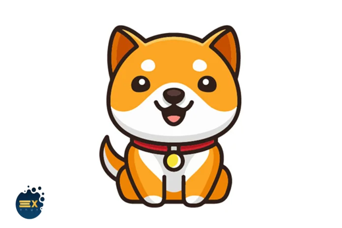 وایت پیپر بیبی دوج سندی توضیحی است که توسط تیم توسعه Baby Doge منتشر شده است.