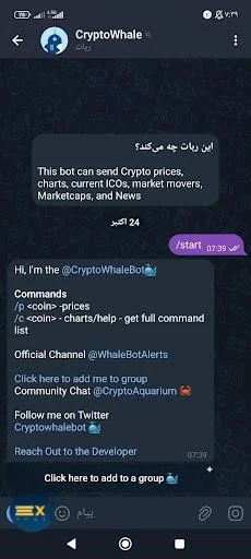 ربات کریپتو ویل (Cryptowhale) یک ربات ارز دیجیتال تلگرام رایگان است که به شما امکان می‌دهد تا به طور جامع از اطلاعات مربوط به ارزهای دیجیتال بهره‌مند شوید.